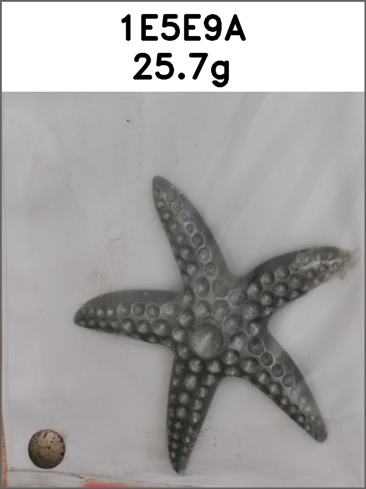 装饰件_海星图片