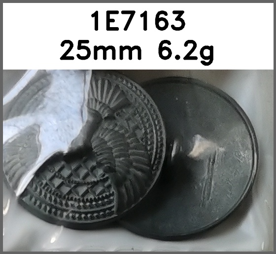 蘑菇扣_老鹰图片